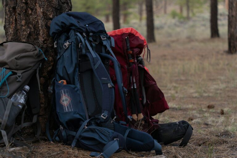 Several backpacks lean against a tree in a forest.
