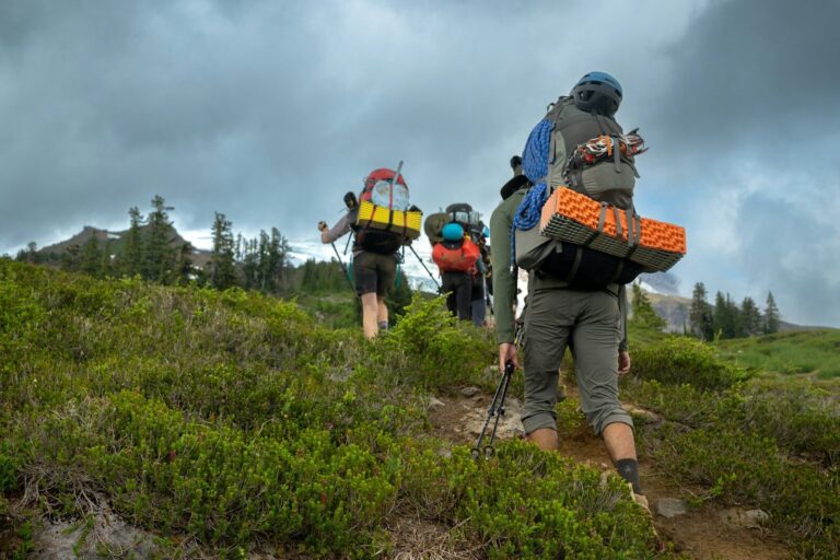 a group of people hiking up a hill