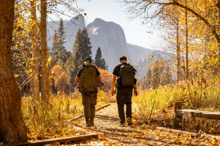 Two hikers walk on a path in autumn woods.